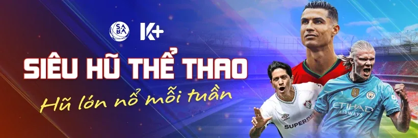 Giải thích chi tiết luật đá gà